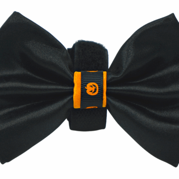 PR3000HP|Pets Ribbons