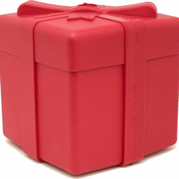 SP Gift Box Durable Rubber Chew Toy & Treat Dispenser