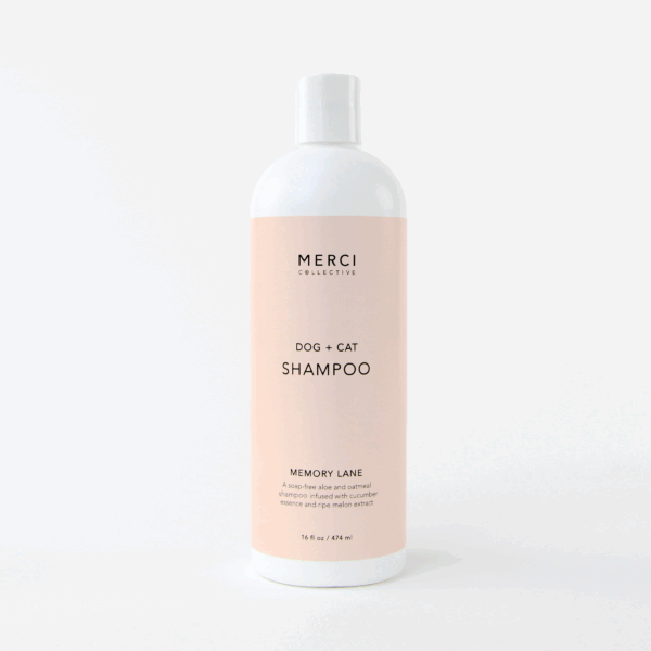 Memory Lane Shampoo