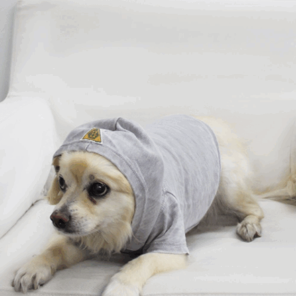 Doggy Hoodie French Terry