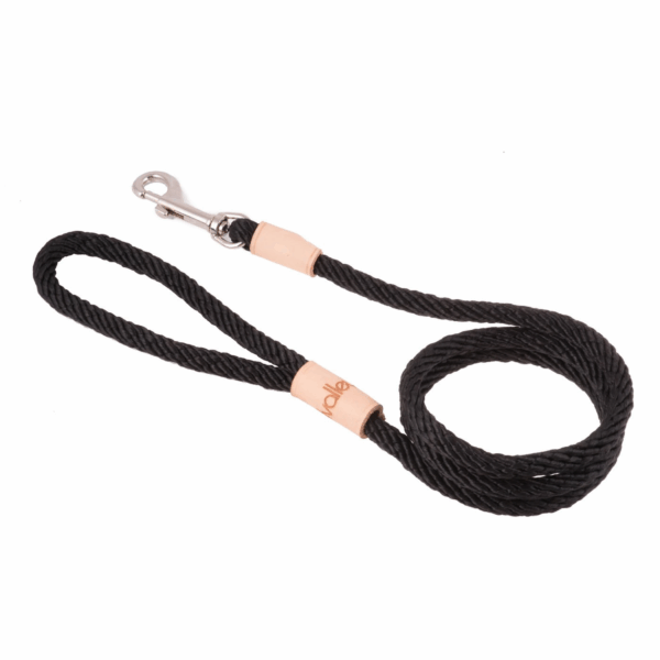 Sport Snap Lead (4 ft  x 5/16in or 8mm)