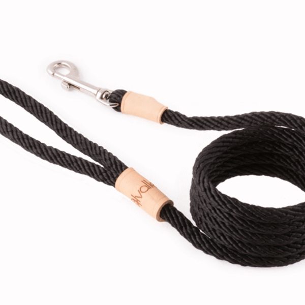 Sport Snap Lead (6 ft  x 5/16in or 8mm)