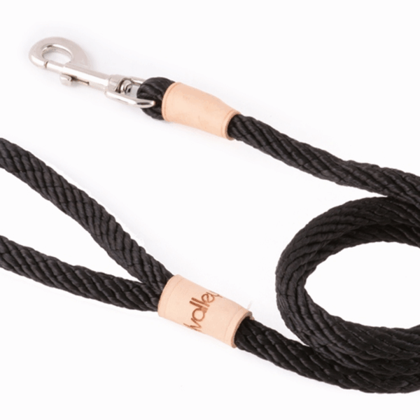 Sport Snap Lead (4 ft  x 1/2in or 13mm)