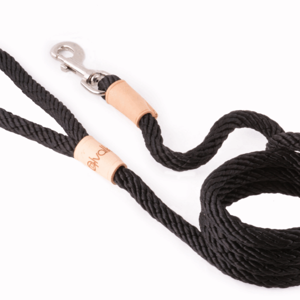 Sport Snap Lead (6 ft  x 1/2in or 13mm)