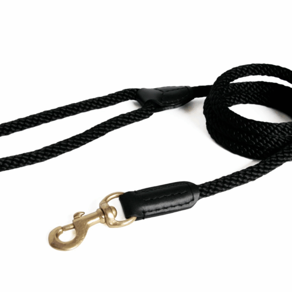 Rope and Leather Snap Lead (4ft x 3/4 in)