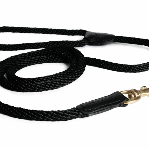 Rope and Leather Snap Lead (6ft x 3/4 in)