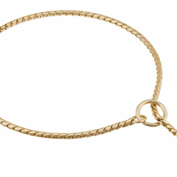 Slip Snake Show Chain Collar (16 in x 5.5mm)