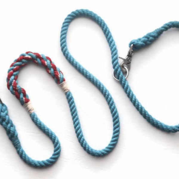 Hands Free Multifunctional Dog Leash