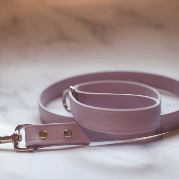 Biothane Leash