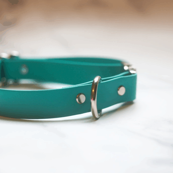 Biothane Quick Release Collar