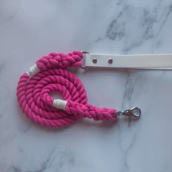 Biothane & Rope Leash Combo