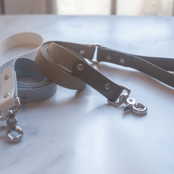 Biothane Leash - Two Toned - Style 2
