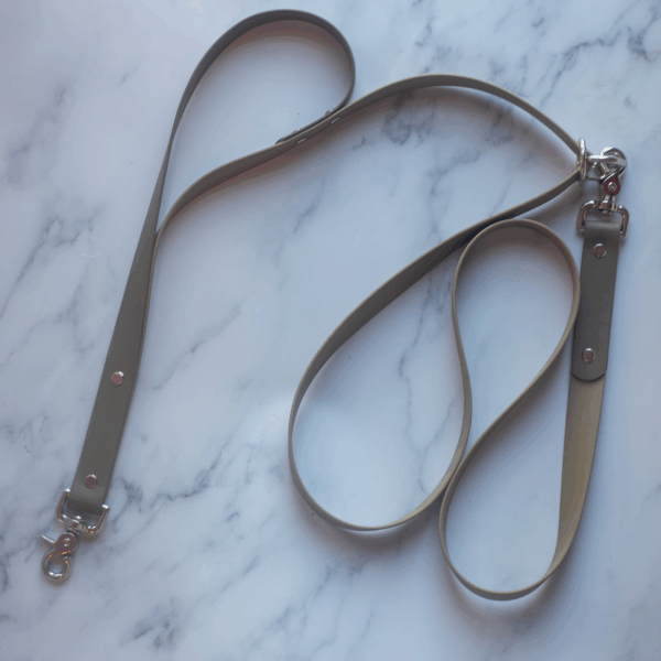Hands Free Biothane Leash