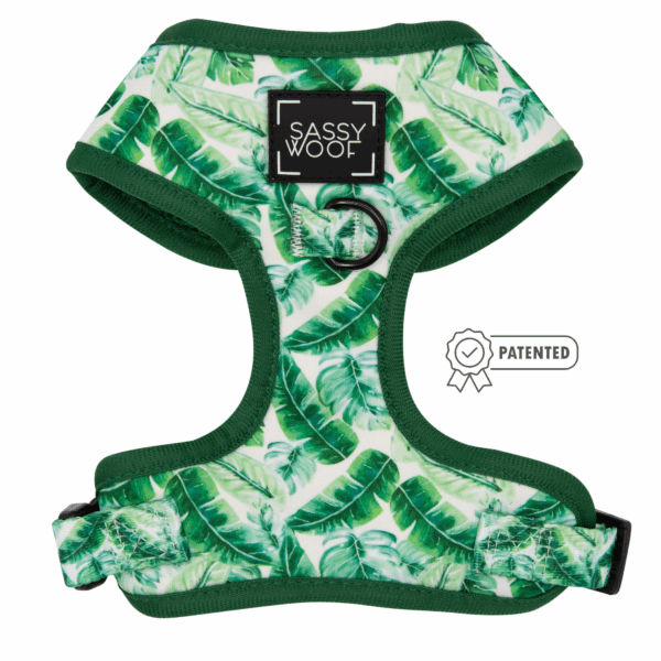Adjustable Harness