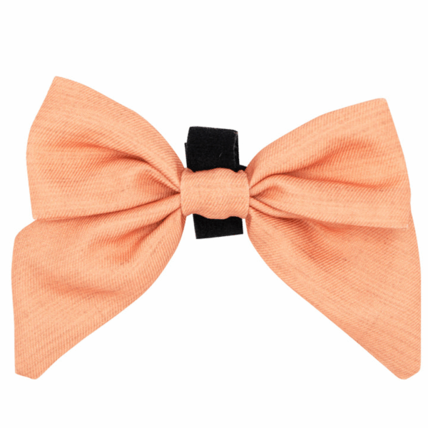 Sailor Bow