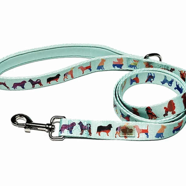 Dog Leash