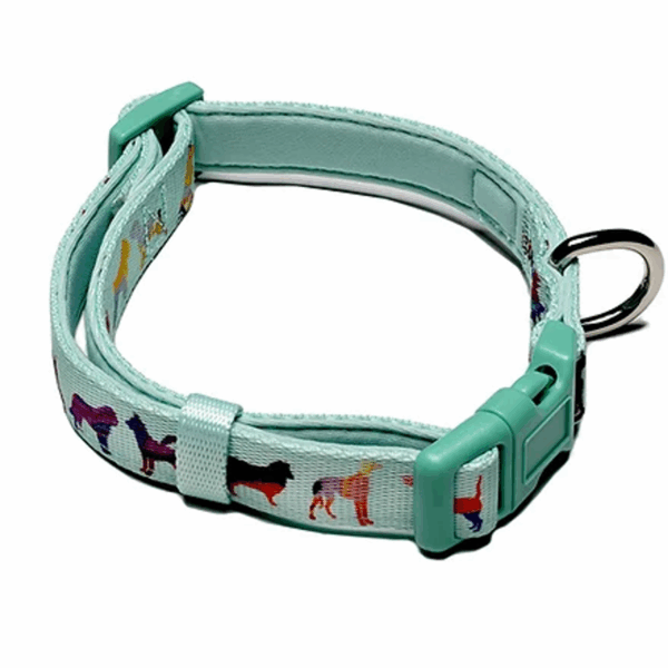 Dog Collar