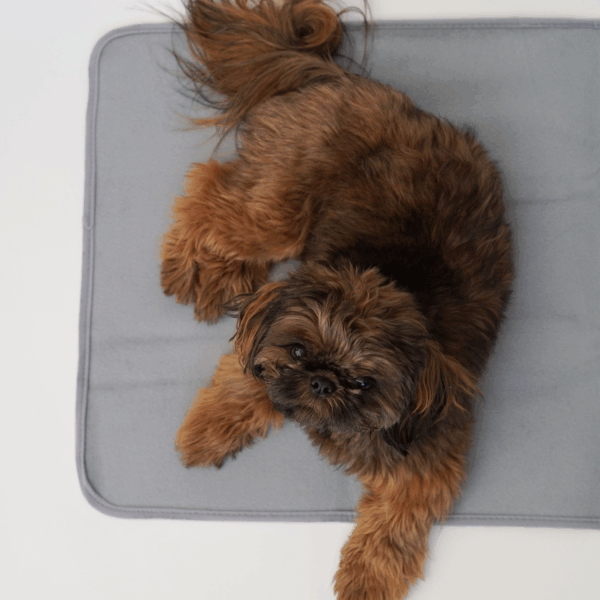 Thera-Pawz Warming Pad