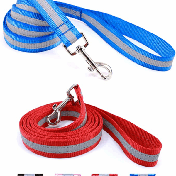 Da Boon Original Double-Sided Reflective Leash