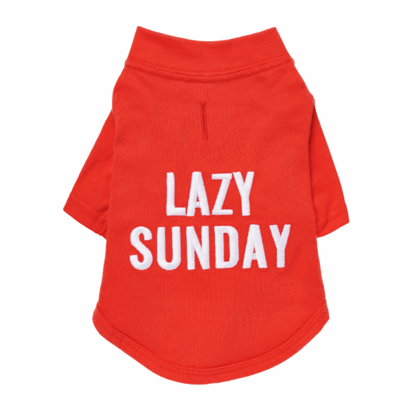 The Essential T-Shirt - LAZY SUNDAY