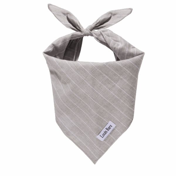 Classic Everyday Bandana