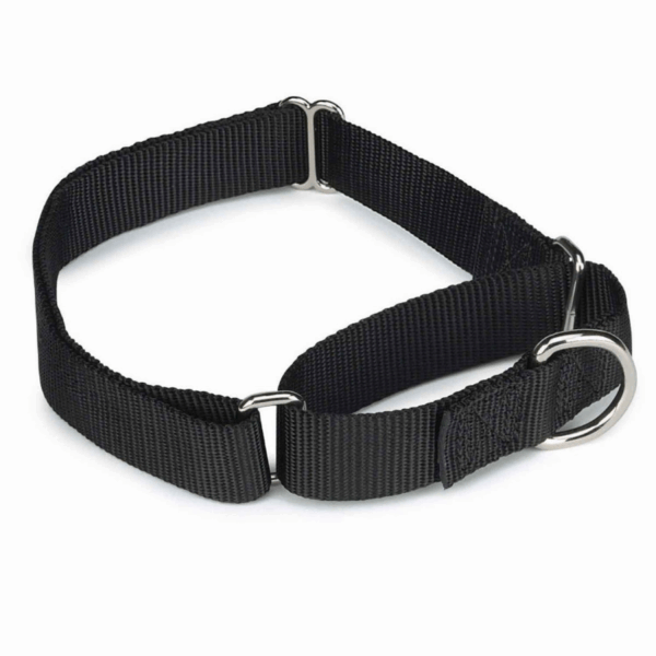 GG Nylon Martingale Collar 10-16In Blk