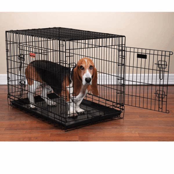 PS Everlast Crate w/Dual Doors M/L