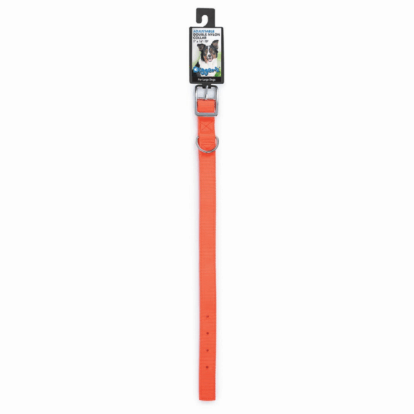 DGR 1in Nylon Collar 18in Neon Org