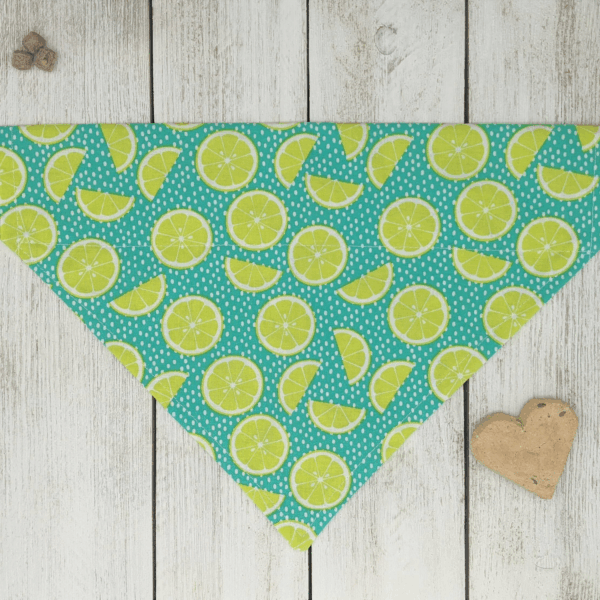Over-The-Collar Dog Bandana