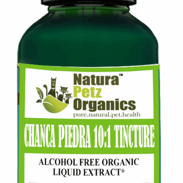 Chanca Piedra 10:1 Organic  Alcohol Free