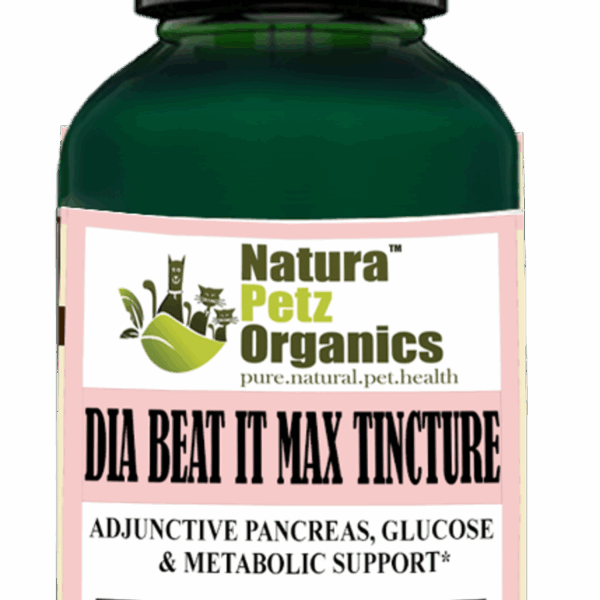 Max Tincture Extract* - Adjunctive Pancreas, Blood Glucose & Metabolic Support*