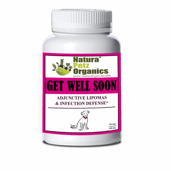Get Well Soon - Adjunctive Lipoma + Infection Defense*