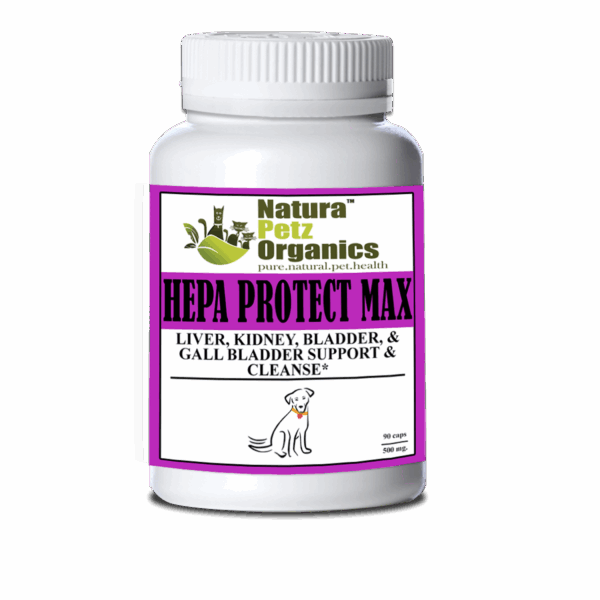 Hepa Protect Max Capsules - Liver, Kidney, Bladder & Gall Bladder Support & Cleanse*