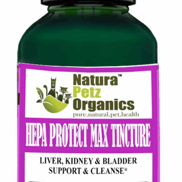 Hepa Protect Max Tincture* Master Blend Liver Kidney & Bladder Support & Cleanse 10:1 Extract*