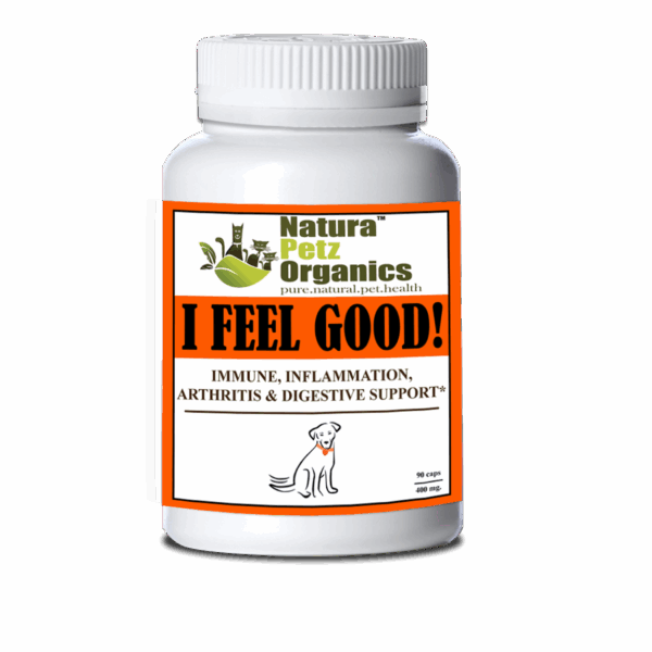 I Feel Good - Immune, Inflammation, Joint & Digestive Support* Dogs And Cats