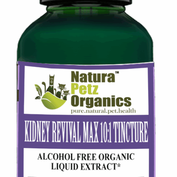 Kidney Revival Max - Master Blend Kidney Cleanse & Support* Tincture Adult & Senior Dogs