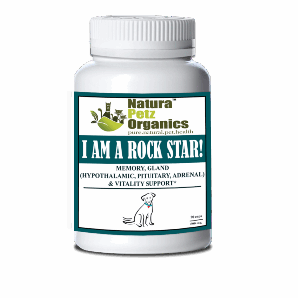 I Am A Rock Star - Memory, Gland (Hypothalamic, Pituitary And Adrenal) & Vitality Support*
