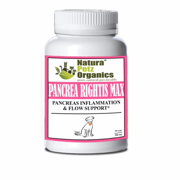 Pancrea Rightis Max Support* Capsules Pancreas Inflammation & Flow Support Dogs Cats*