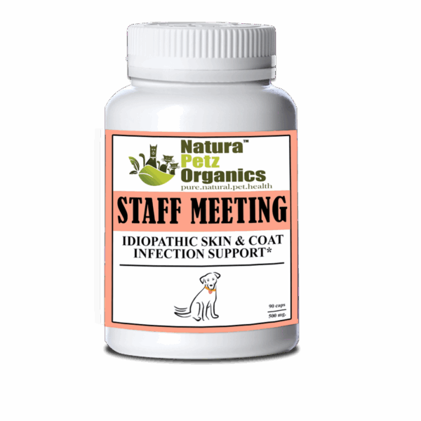 Staff Meeting* Idiopathic Skin & Coat Infection* Support For Dogs And Cats*