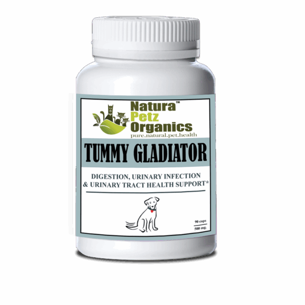 Tummy Gladiator - Digestion, Adjunctive Reflux & Urinary Tract Support*