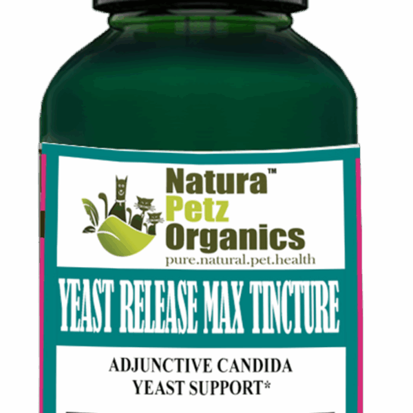 Yeast Release Max Tincture* Adjunctive Candida Yeast & Immune Support* Dogs Cats