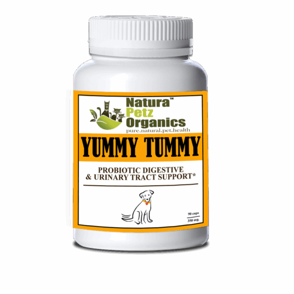 Probiotic Digestive, Bladder & Urinary Tract Support*