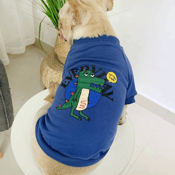 Everyday Dinosaur - Matching Pet and Owner Clothing Set