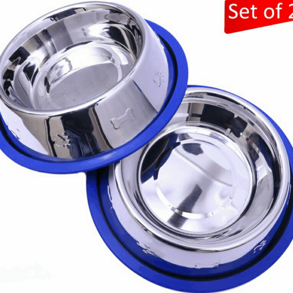 Etched Stainless Steel Dog Bowls with Blue Silicone Base