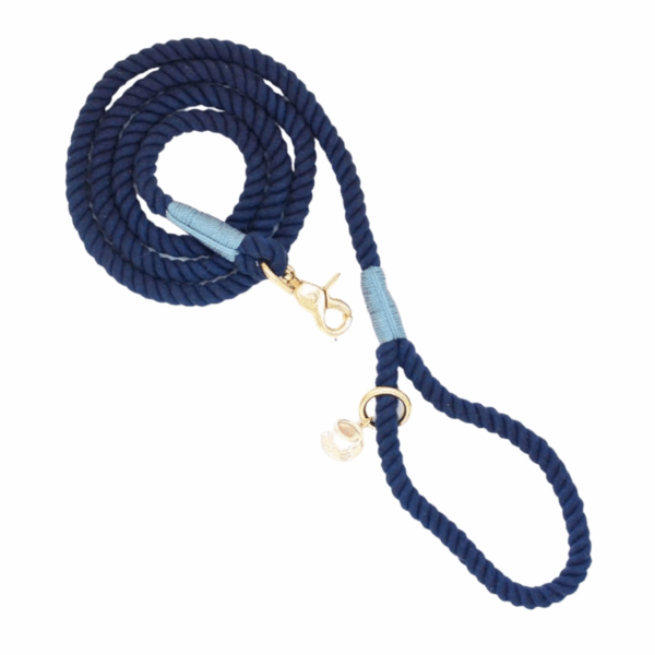Midnight Rope Dog Leash