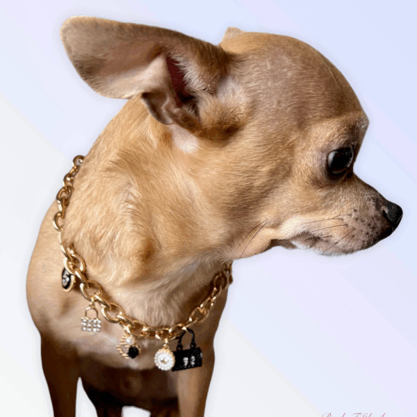 My Dainty Charm Necklace