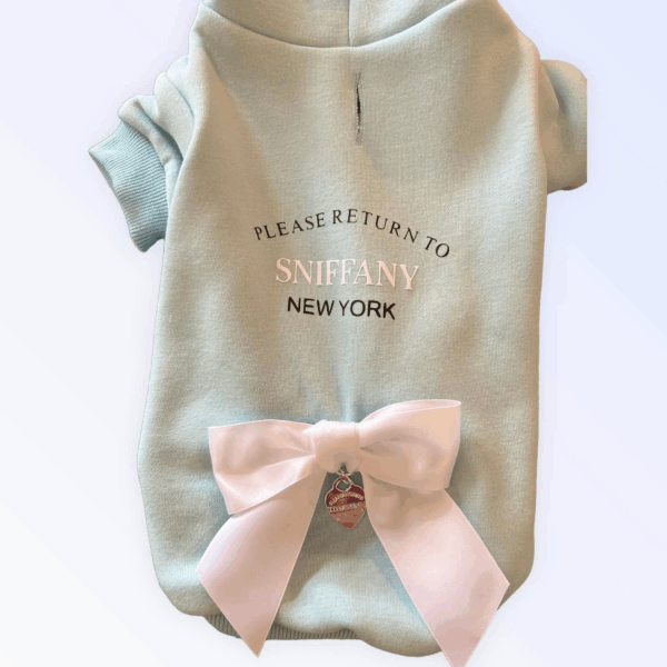 Return to Sniffany Hoodie