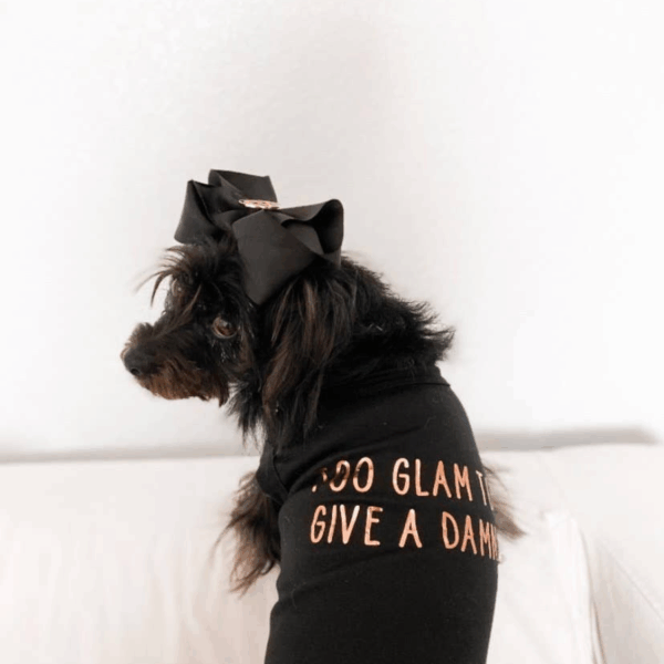Too Glam to Give a Damn