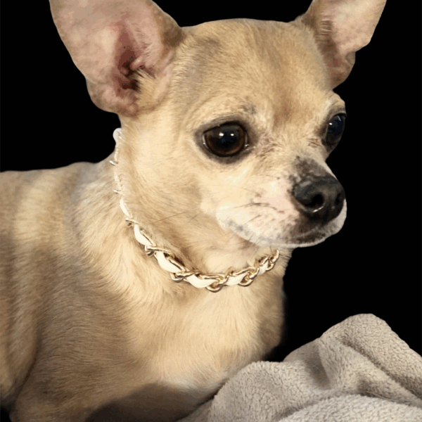 Leatherorzo Collar