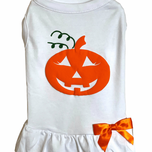 Puffed Pumpkin Dog Outfit